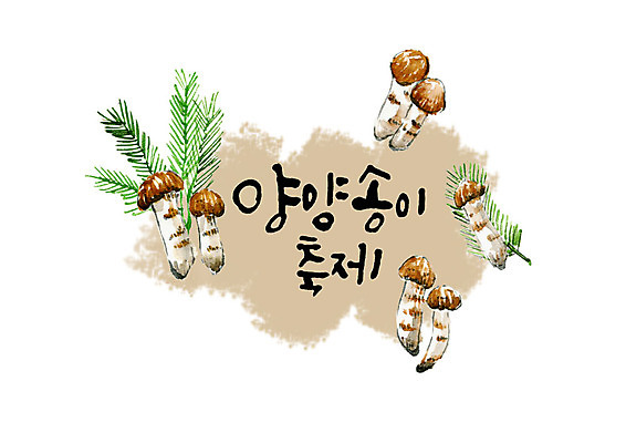 PSD 손글씨 일러스트 캘리그라피 붓터치 타이포그라피 한글 사람없음 축제 가을 번짐 솔잎 송이버섯 양양군 지역축제 가을축제 대한민국축제 버섯축제 송이축제 국내일러스트 문자 계절 잎 버섯 강원도 파일형식 효과 가을_계절