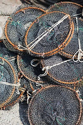 포토 JPG 주간 어업 풍경 사람없음 야외 여러개 그물 울산 통발 국내포토 자연요소 산업 다수 한국 파일형식