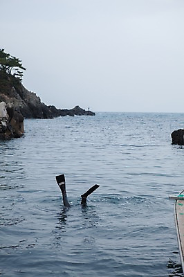 포토 JPG 주간 여자 바다 발 한명 풍경 성인 야외 아웃포커스 한국인 하반신 오리발 잠수 해녀 울산 해녀복장 성인여자한명만 국내포토 자연요소 직업 1 옷 한국 촬영기법 사람 동양인 신체부위 여자한명만 성인여자만 파일형식