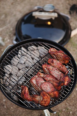 포토 JPG 주간 불 휴가 풍경 사람없음 야외 닭고기 캠핑 그릴 바비큐 화로 훈제 가평 훈제고기 국내포토 자연요소 그릇 음식 주방용품 레저 육류 경기도 파일형식