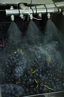 포토 JPG 공장 포도 실내 풍경 사람없음 닦기 세척기 영천 국내포토 과일 공업 모션 내부 전자제품 경상북도 파일형식