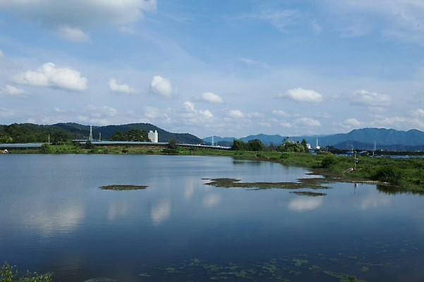 포토 JPG 주간 구름 자연 하늘 풍경 사람없음 야외 강 반사 맑음 영천 국내포토 자연요소 날씨 경상북도 생태계 파일형식