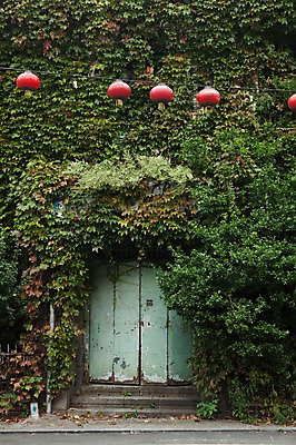 포토 JPG 주간 전등 풍경 사람없음 야외 문 덩굴 전통등 인천 차이나타운 국내포토 자연요소 식물 전통 조명 한국 관광지 파일형식