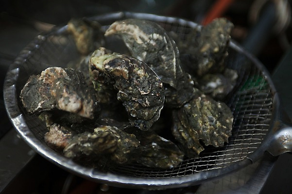 포토 JPG 실내 사람없음 여러개 굴 채망 해산물 고흥 국내포토 다수 주방용품 어패류 내부 전라남도 파일형식