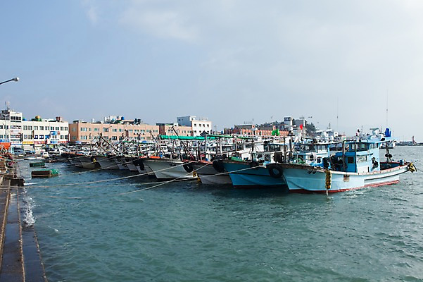 포토 JPG 주간 바다 풍경 사람없음 야외 어선 어촌 여러대 선박 고흥 국내포토 자연요소 다수 수상교통 배_교통 시골 전라남도 파일형식