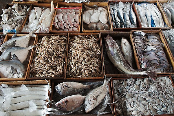 포토 JPG 주간 여러마리 어류 사람없음 야외 그물 재래시장 수산시장 전통시장 고흥 국내포토 자연요소 전통 다수 수중동물 시장 전라남도 파일형식