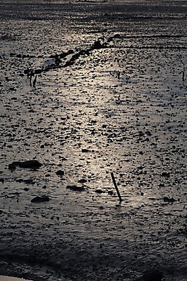 포토 JPG 구름 바다 야경 하늘 사람없음 야외 어촌 갯벌 고흥 국내포토 자연요소 시골 야간 전라남도 파일형식 풍경_경치