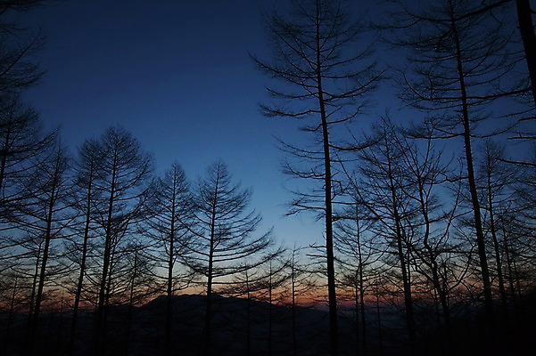 포토 JPG 주간 나무 겨울 하늘 풍경 사람없음 야외 일몰 정선 함백산 만항재 겨울풍경 국내포토 자연요소 식물 계절 산 노을 강원도 파일형식