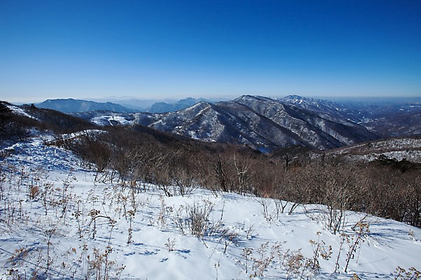 포토 JPG 주간 설경 겨울 산 풍경 사람없음 야외 눈 정선 함백산 만항재 겨울풍경 국내포토 자연요소 계절 날씨 강원도 파일형식