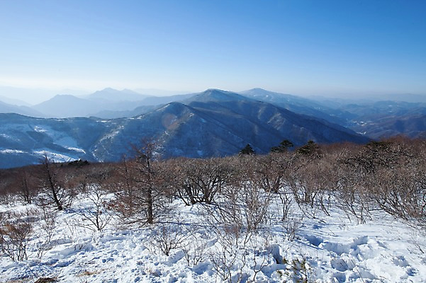 포토 JPG 주간 설경 겨울 산 풍경 사람없음 야외 눈 정선 함백산 만항재 겨울풍경 국내포토 자연요소 계절 날씨 강원도 파일형식