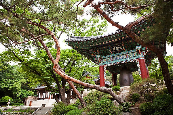 포토 JPG 주간 나무 서울 사람없음 야외 도시풍경 종 소나무 사찰 풍경종 국내포토 자연요소 식물 종교건축 한국 풍경 도시 파일형식