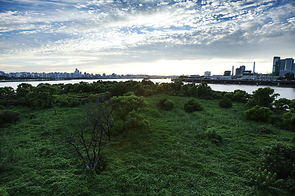 포토 JPG 주간 구름 하늘 서울 빌딩 사람없음 야외 도시풍경 한강 밤섬 서강대교 여의도 국내포토 자연요소 섬 한국 풍경 건물 다리_건축물 도시 랜드마크 파일형식
