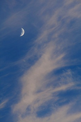 포토 JPG 주간 구름 하늘 서울 사람없음 야외 도시풍경 반달 낮달 국내포토 자연요소 한국 풍경 달 도시 파일형식