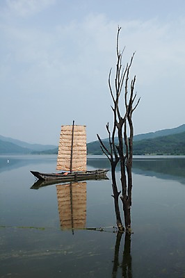 포토 JPG 주간 나무 자연 풍경 사람없음 야외 돛단배 두물머리 북한강 양평 황포돛배 국내포토 자연요소 식물 배_교통 강 생태계 경기도 가평 파일형식