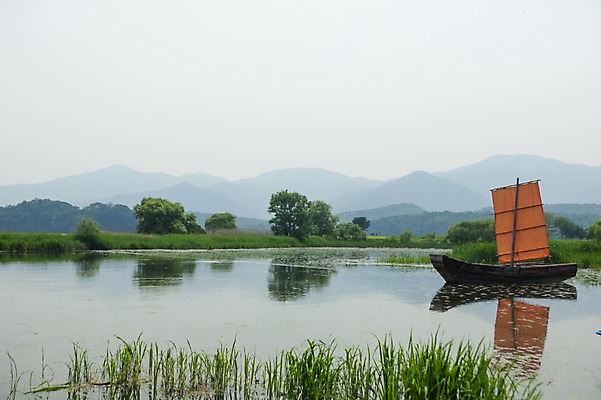 포토 JPG 주간 나무 자연 풍경 사람없음 야외 풀잎 돛단배 두물머리 북한강 양평 황포돛배 국내포토 자연요소 식물 잎 배_교통 강 풀_식물 생태계 경기도 가평 파일형식