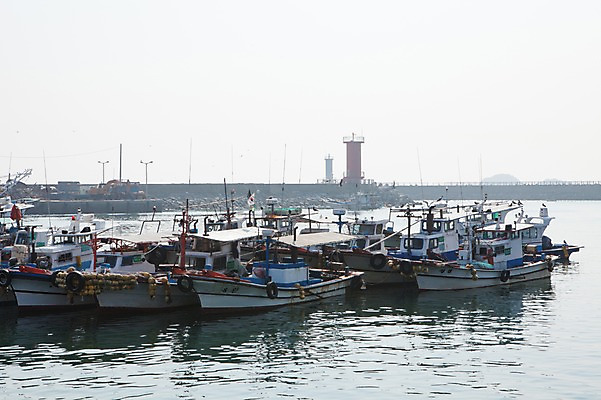포토 JPG 주간 바다 풍경 사람없음 야외 항구 어선 어촌 고깃배 외연도 국내포토 자연요소 섬 배_교통 교통시설 시골 파일형식 보령