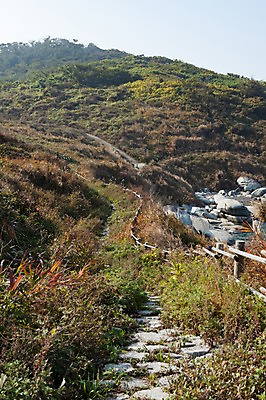 포토 JPG 주간 바다 섬 자연 풍경 사람없음 야외 돌길 외연도 국내포토 자연요소 길 생태계 파일형식 보령