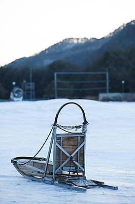 포토 JPG 주간 겨울 사람없음 야외 눈 오브젝트 강원도 개썰매 용평 국내포토 자연요소 계절 날씨 한국 썰매 평창 파일형식