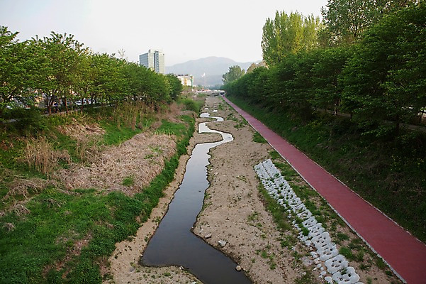 포토 JPG 주간 나무 구름 하늘 서울 사람없음 야외 도시풍경 산책로 양재천 국내포토 자연요소 식물 길 한국 풍경 도시 파일형식