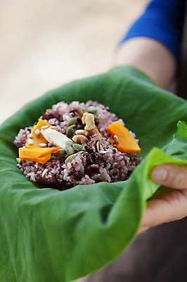 포토 JPG 주간 손 들기 야외 아웃포커스 신체부위 부여 연잎밥 잡곡밥 국내포토 자연요소 모션 밥 촬영기법 사람 충청남도 파일형식