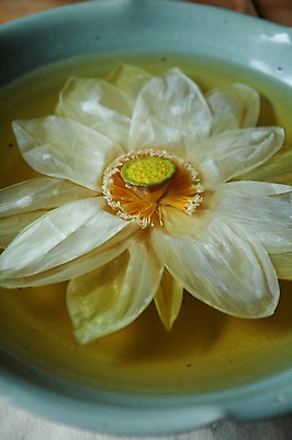 포토 JPG 실내 연꽃 근접촬영 사람없음 꽃차 부여 연꽃차 국내포토 꽃 뷰포인트 내부 차_음료 충청남도 파일형식