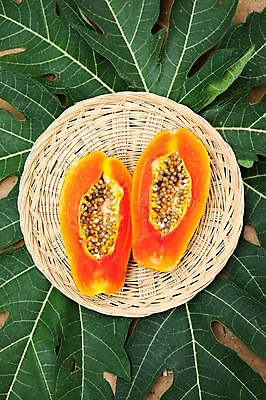 포토 JPG 주간 사람없음 야외 과수원 전라도 열대과일 반쪽 야자수잎 파파야 국내포토 자연요소 잎 농업 과일 한국 파일형식