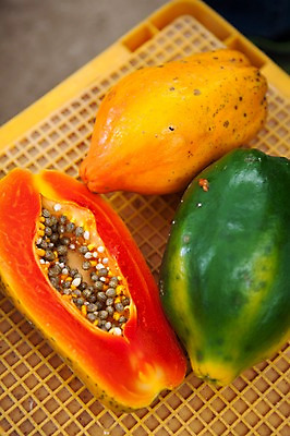 포토 JPG 주간 사람없음 야외 세개 과수원 전라도 열대과일 반쪽 파파야 국내포토 자연요소 농업 과일 한국 3 파일형식