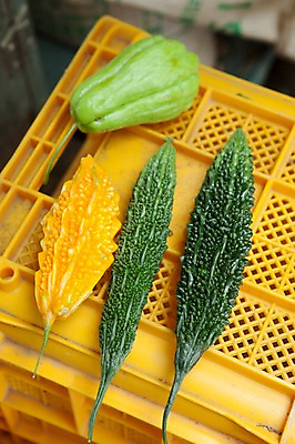 포토 JPG 주간 사람없음 야외 바구니 여러개 전라도 열대과일 여주 국내포토 자연요소 다수 채소 과일 한국 파일형식