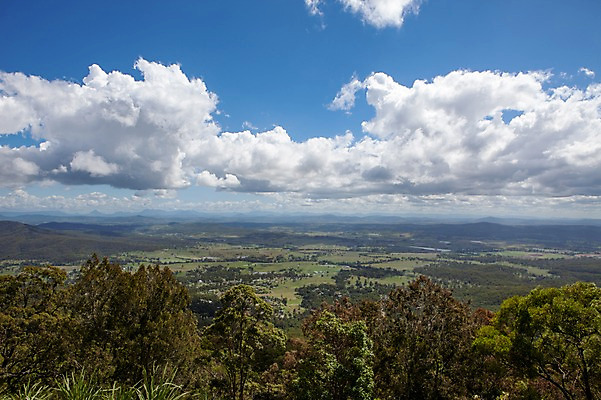 포토 JPG 주간 나무 구름 해외풍경 자연 하늘 사람없음 야외 호주 국내포토 자연요소 식물 해외 풍경 오세아니아 생태계 파일형식