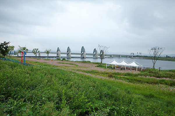 포토 JPG 주간 꽃밭 풍경 초원 사람없음 야외 강 전라도 가교 국내포토 자연요소 건축물 꽃 한국 파일형식