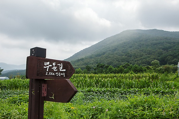 포토 JPG 주간 구름 하늘 산 풍경 사람없음 야외 트래킹 전라도 방향표지판 무돌길 국내포토 자연요소 레저 한국 표지판 무등산 파일형식