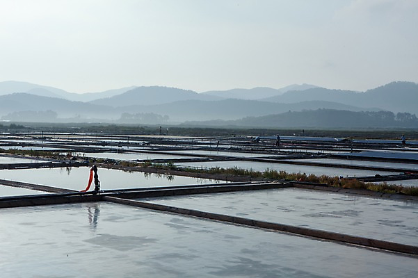 포토 JPG 주간 아침 풍경 사람없음 야외 전라도 소금 염전 천일염 국내포토 자연요소 한국 시설 파일형식
