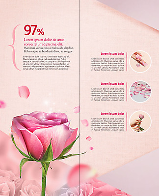 PSD 템플릿 표지디자인 북디자인 손 출판디자인 여자 꽃잎 꽃 내지 리플렛 한송이 2단접지 북커버 들기 사람 팜플렛 성인 신체부위 꽃꽂이 강습 클래스 이미지템플릿 식물 1 모션 원예 송이 파일형식