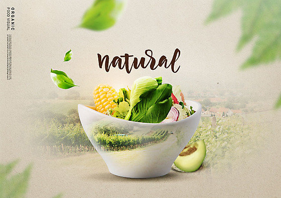 PSD 편집이미지 그릇 양파 나뭇잎 옥수수 초원 사람없음 샐러드 농촌 신선 멜론 유기농 청경채 내추럴 이미지편집 식기 웰빙 음식 잎 채소 과일 곡류 시골 파일형식