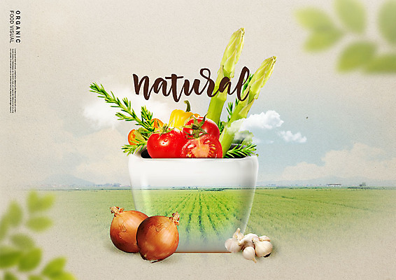 PSD 편집이미지 그릇 토마토 양파 파프리카 논 마늘 사람없음 신선 유기농 아스파라거스 내츄럴 평야 이미지편집 식기 웰빙 농업 채소 자연 파일형식