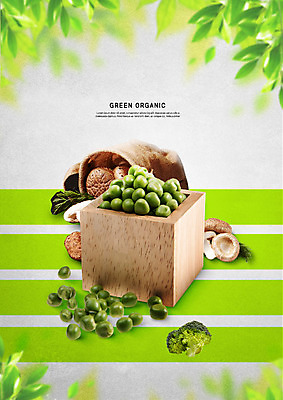 PSD 편집이미지 나뭇잎 사람없음 초록색 나뭇가지 신선 브로콜리 유기농 자루 표고버섯 되 매실 그리너리 이미지편집 나무 웰빙 컬러 잎 채소 버섯 파일형식 트랜드컬러