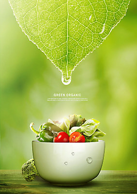 PSD 편집이미지 그릇 방울토마토 피망 나뭇잎 사람없음 연두색 물방울 신선 떨어짐 상추 브로콜리 유기농 청경채 그리너리 이미지편집 식기 웰빙 컨셉 잎 토마토 채소 초록색 파일형식 트랜드컬러
