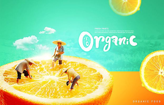 PSD 구름 편집이미지 오렌지 단면 사람없음 미니어처 신선 농부 유기농 이미지편집 자연요소 직업 웰빙 과일 모형 파일형식