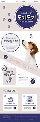 PSD 템플릿 한마리 ZIP 웹템플릿 사람없음 반려동물 유치원 강아지 놀이터 비글 폴라로이드 뉴스레터 반려 소풍바구니 펫케어 이미지템플릿 동물 1 교육 놀이 관리 바구니 카메라 개 파일형식