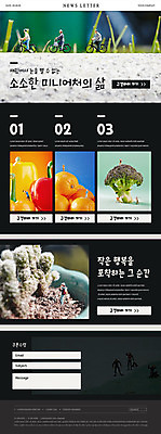 PSD 식물 템플릿 행복 ZIP 웹템플릿 오렌지 선인장 파프리카 사람없음 미니어처 작음 브로콜리 뉴스레터 이미지템플릿 감정 채소 과일 모형 크기 파일형식