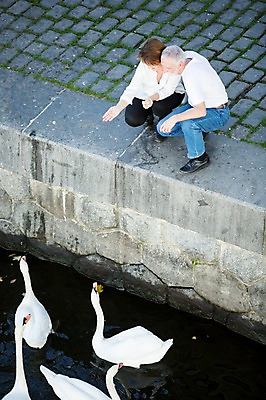 포토 JPG 주간 전신 서양인 응시 여자 노년 남자 50대 데이트 미소 사람 앉기 야외 두명 앞모습 실버라이프 강 노부부 로맨틱 강가 먹이 백조 노인만 어깨에손 국내포토 자연요소 외국인 라이프스타일 부부 시선 뷰포인트 중년 컨셉 모션 조류 표정 성인 성인만 파일형식