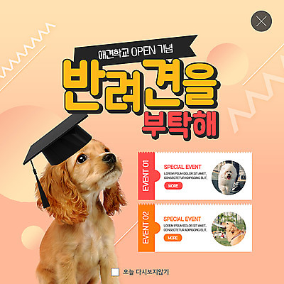 PSD 템플릿 응시 ZIP 반려견 웹템플릿 학사모 학교 팝업 이벤트팝업 웹팝업 세마리 이벤트 사람없음 오픈 강아지 요청 반려 펫케어 빅팝업 이미지템플릿 모자_잡화 시선 교육 졸업 관리 3 반려동물 개 파일형식