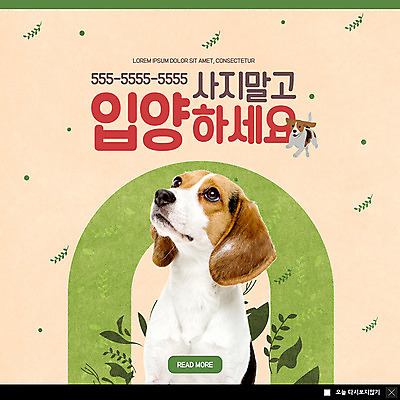 PSD 템플릿 한마리 응시 ZIP 웹템플릿 나뭇잎 팝업 이벤트팝업 웹팝업 이벤트 사람없음 반려동물 올려보기 강아지 반려 입양 펫케어 빅팝업 이미지템플릿 동물 1 시선 잎 모션 관리 개 파일형식