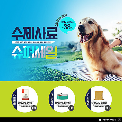 PSD 템플릿 한마리 응시 ZIP 웹템플릿 팝업 이벤트팝업 웹팝업 이벤트 잔디 야외 신체부위 세일 강아지 돗자리 팔 통조림 포대 개사료 반려 펫케어 빅팝업 이미지템플릿 식물 1 시선 관리 사람 반려동물 개 먹이 파일형식