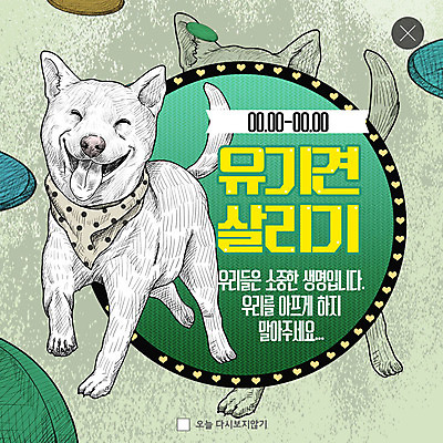 PSD 템플릿 한마리 ZIP 캠페인 웹템플릿 생명 팝업 이벤트팝업 웹팝업 미소 이벤트 사람없음 달리기 원형 구출 강아지 원반 긴급구조 반려 유기견 펫케어 빅팝업 유기동물 이미지템플릿 도형 동물 1 스포츠용품 모션 표정 관리 반려동물 긴급 도움 개 파일형식