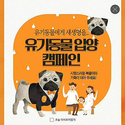 전신 PSD 템플릿 한마리 응시 여자 남자 ZIP 어린이 캠페인 웹템플릿 벤치 가족 생명 팝업 이벤트팝업 웹팝업 미소 사람 앉기 정장 턱시도 이벤트 성인 세명 주황색 강아지 눈물 반려 유기견 입양 펫케어 빅팝업 유기동물 이미지템플릿 동물 1 시선 옷 감정 컬러 의자 관계 모션 표정 관리 반려동물 개 파일형식