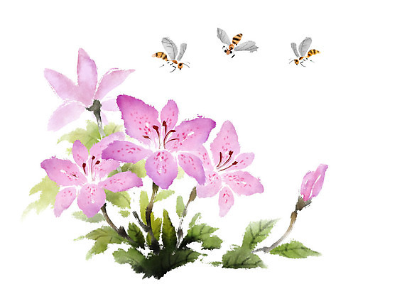 PSD 꽃 분홍색 여러송이 일러스트 수채화 세마리 사람없음 비행 꿀벌 국내일러스트 식물 컬러 다수 3 벌_곤충 파일형식