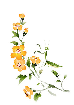 PSD 한마리 일러스트 수채화 사람없음 노란색 사마귀 꽃가지 국내일러스트 1 꽃 컬러 곤충 나뭇가지 파일형식