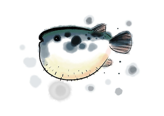 PSD 한마리 일러스트 캘리그라피 붓터치 사람없음 복어 번짐 국내일러스트 1 어류 파일형식 효과