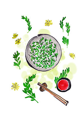 PSD 일러스트 봄꽃 캘리그라피 젓가락 붓터치 사람없음 봄 사기그릇 번짐 돌나물 봄나물 초고추장 국내일러스트 그릇 계절 꽃 채소 수저 양념 나물 파일형식 효과